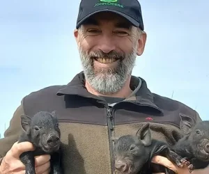 Carpinetti,-Bruno-Nicolás