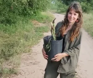 Franceschini,-Celeste-M.